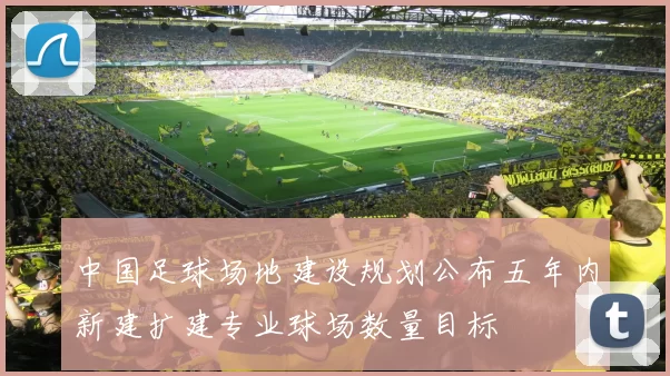 中国足球场地建设规划公布五年内新建扩建专业球场数量目标