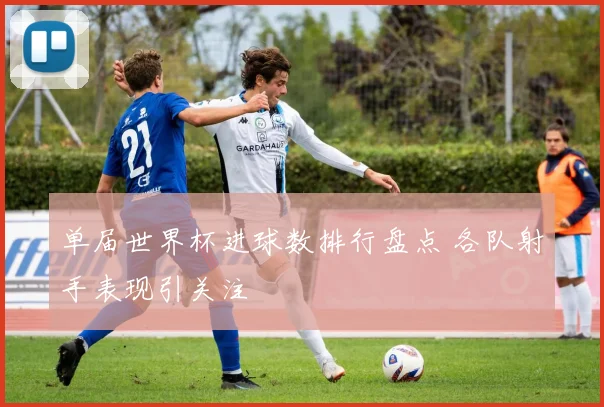 单届世界杯进球数排行盘点 各队射手表现引关注